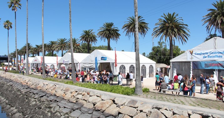 Festival do Bacalhau 2014 – Relatório Final