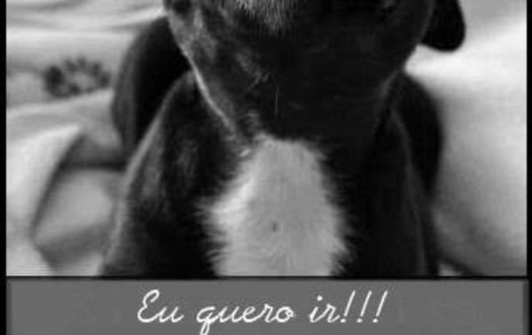 75b344ea-1960-4dec-88a2-130c60c0d855