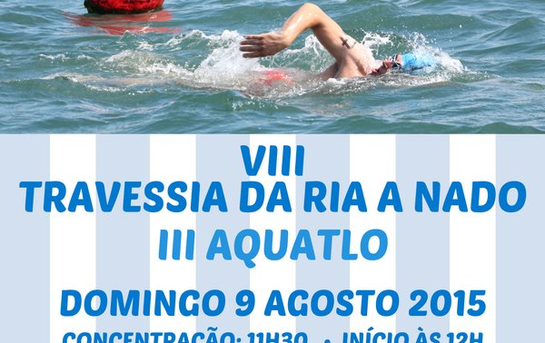 VIIITravessia-Cartaz