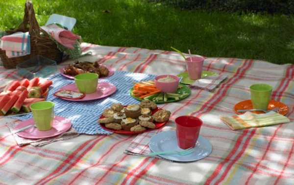 t1larg-picnic