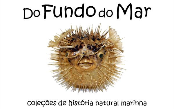 do-fundo-do-mar