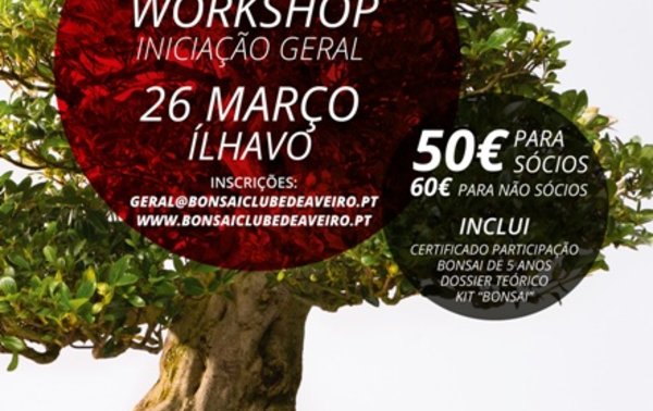mar26_CARTAZ2_Bonsai