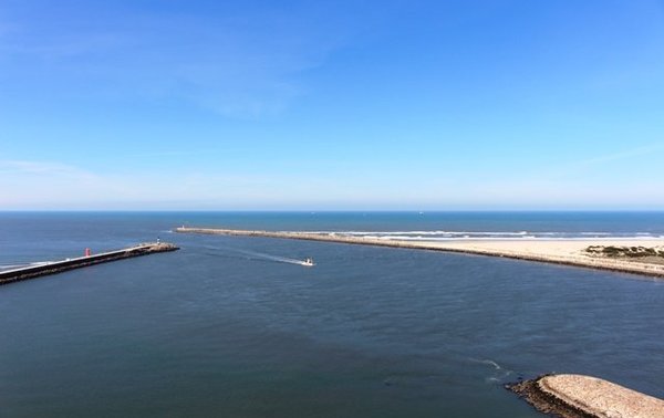 jun4e5_dia_mundial_dos_oceanos