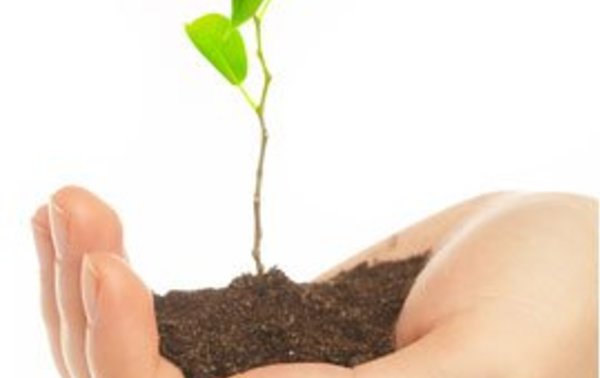 sustentabilidade