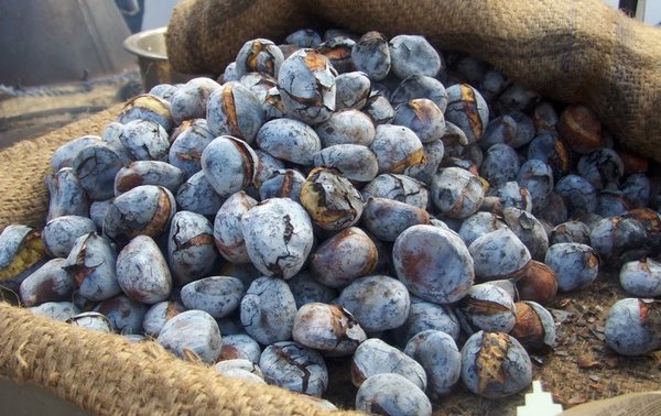 castanhas