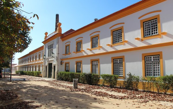 VA
