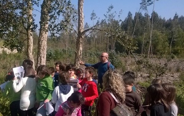 woodwatch2016
