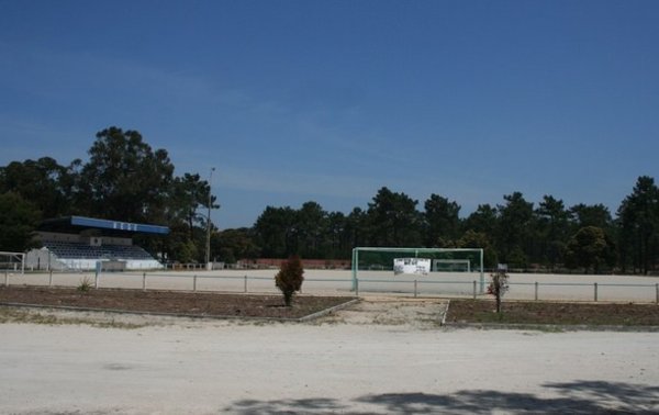 Campo_NEGE