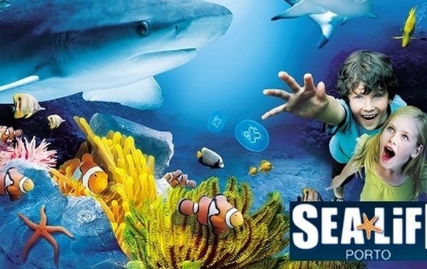 Sea_Life_Porto