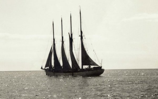 saga-bacalhau