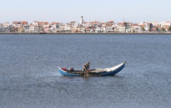 Pesca