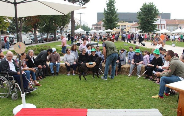 festival_cabelos_brancos