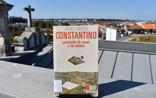 comunidade_de_leitores