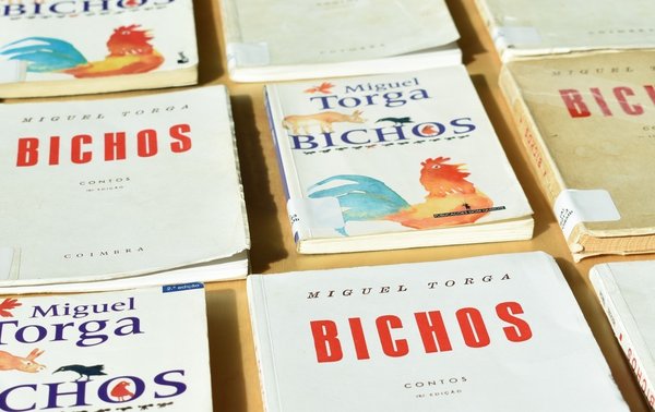 bichos
