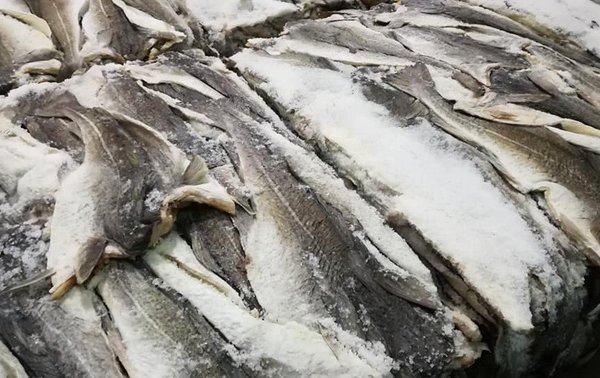 bacalhau