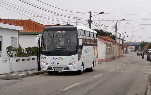 ilhavo_in