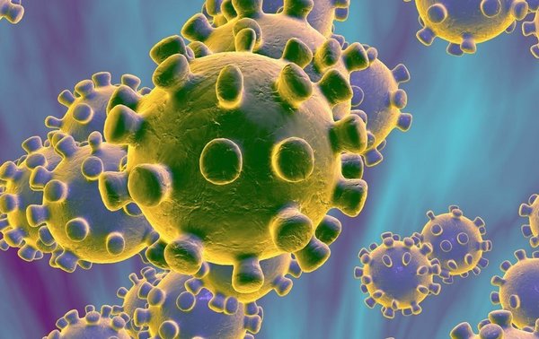 coronavirus