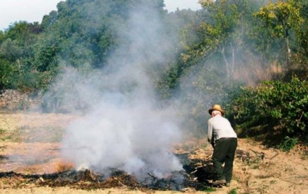 incendios_queimadas