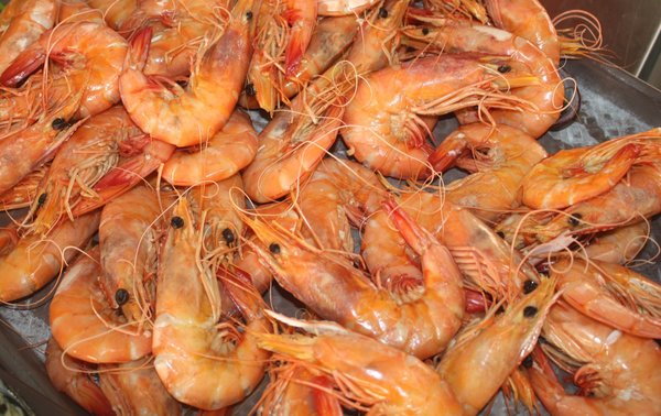 praias_festival_marisco__2_