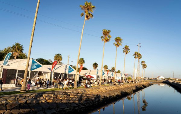 festival_do_bacalhau
