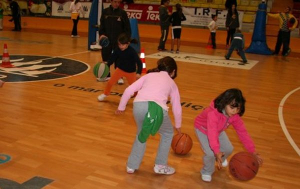 AFD_mini_basquet1