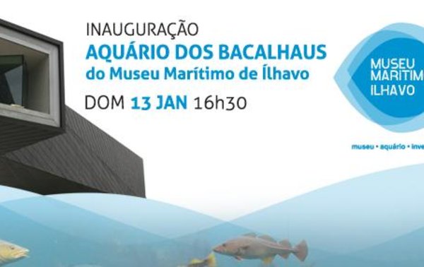 Inaugura__o_Aqu_rio_MMI