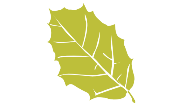 Sobreiro