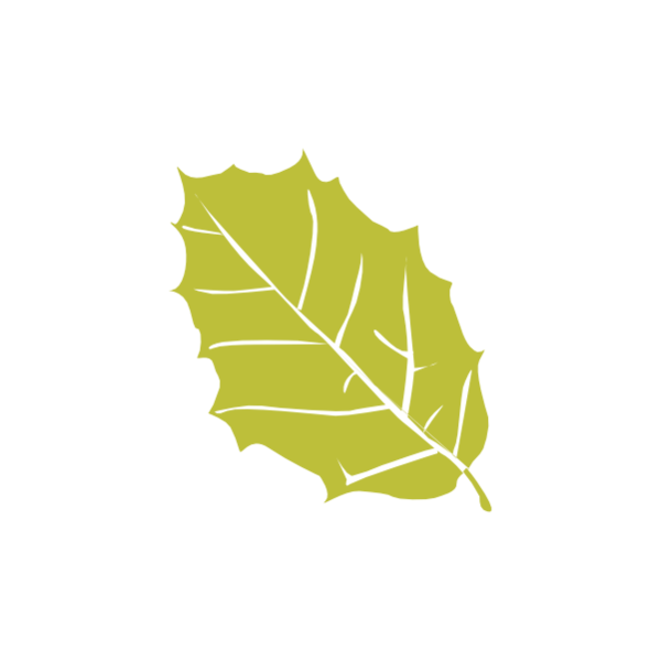 Sobreiro