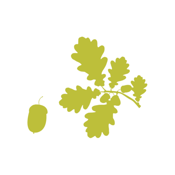 Carvalho-alvarinho