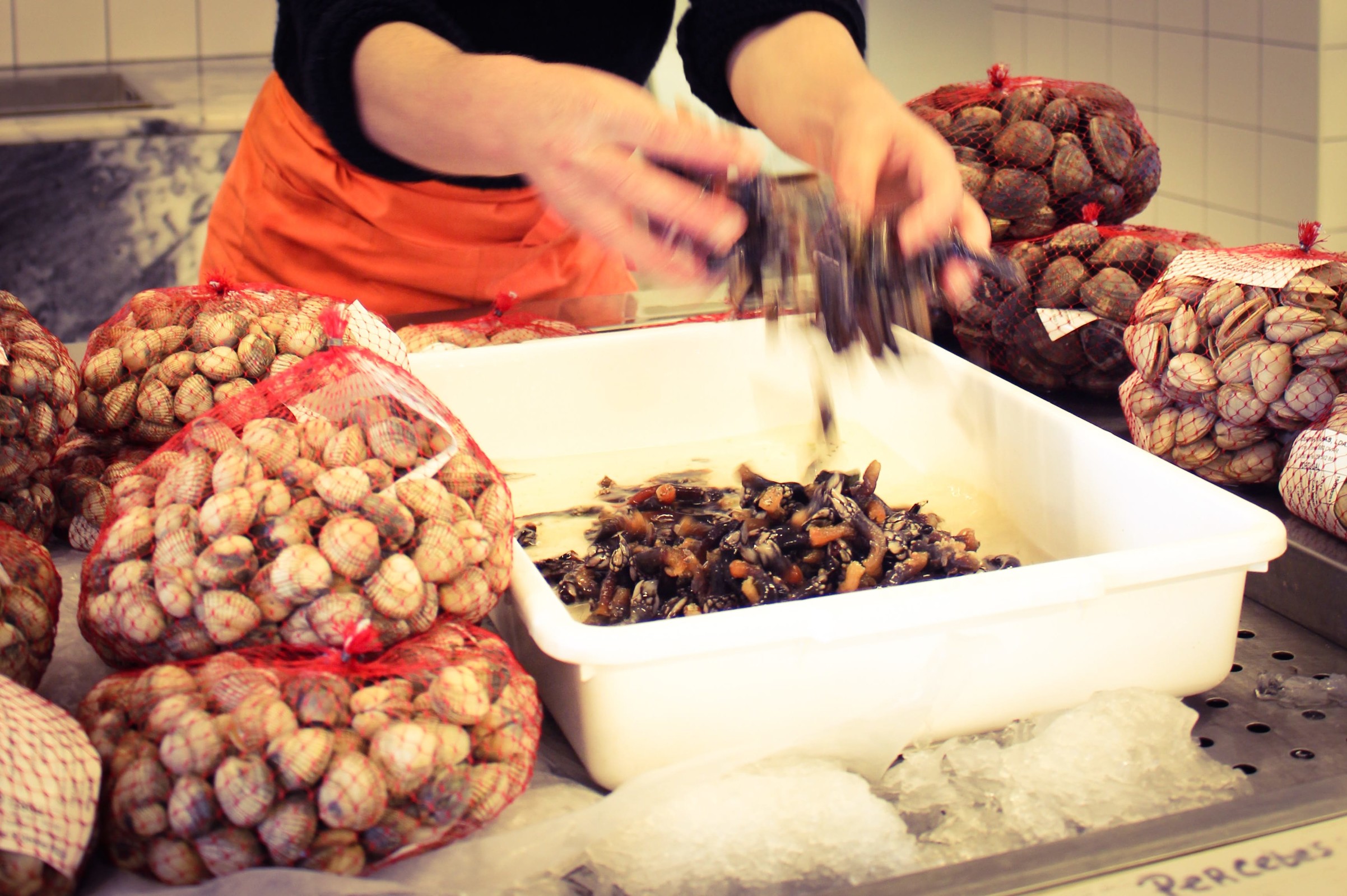 Bivalves Mercado do Peixe Costa Nova