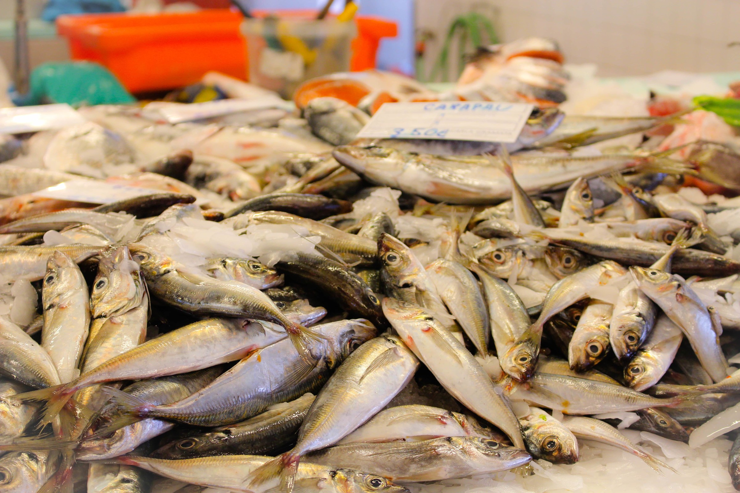 Banca de peixe Mercado da Costa Nova