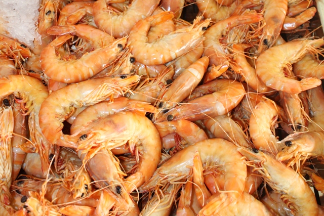 FESTIVAL_MARISCO_SITE_5