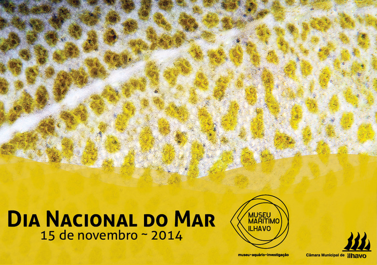 Comemorações do Dia Nacional do Mar 2014