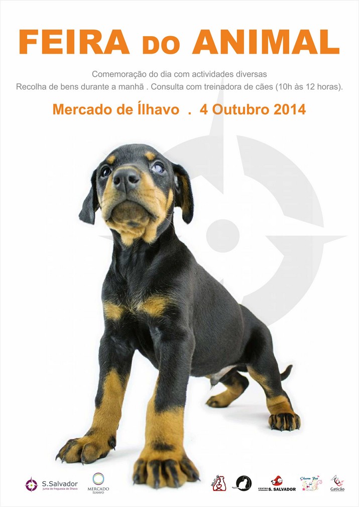 Feira do Animal