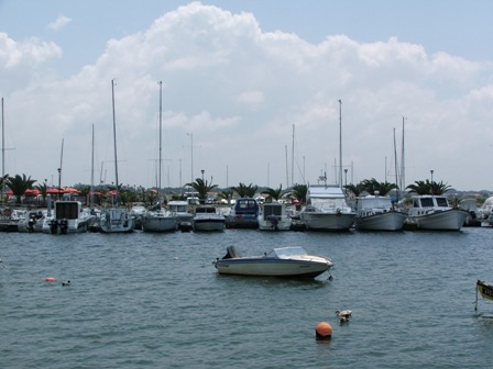 Regata de São Martinho ANGE