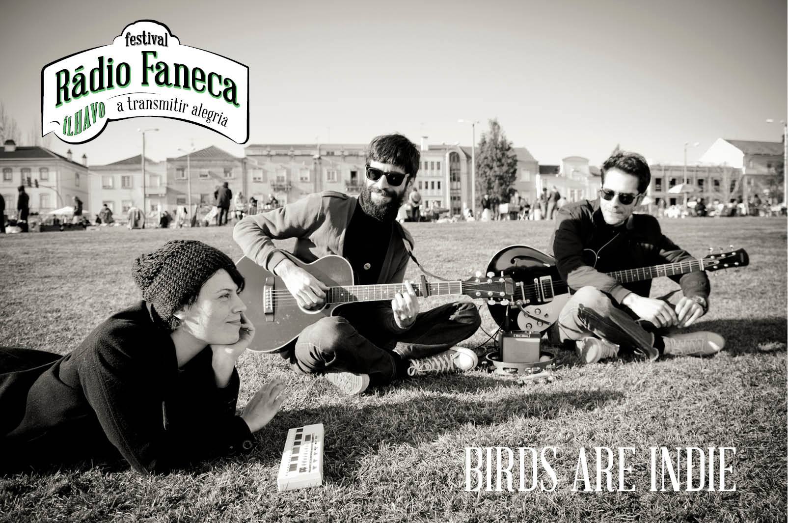 Birds are Indie