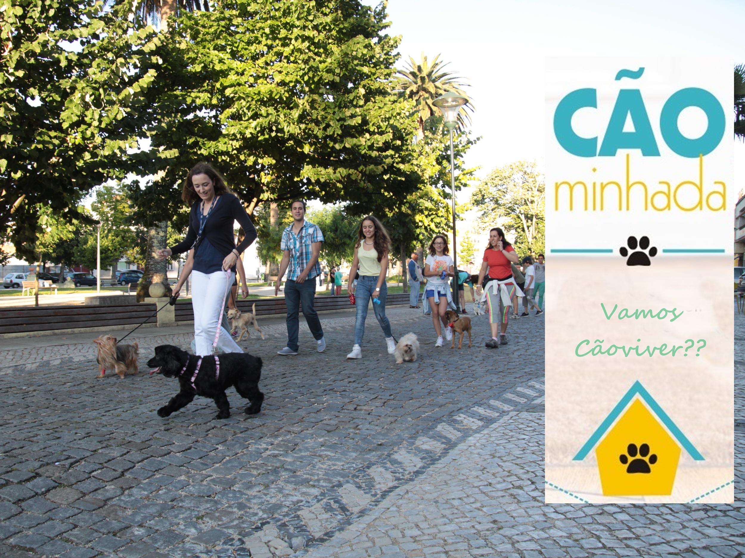 Cãominhada ao Luar 