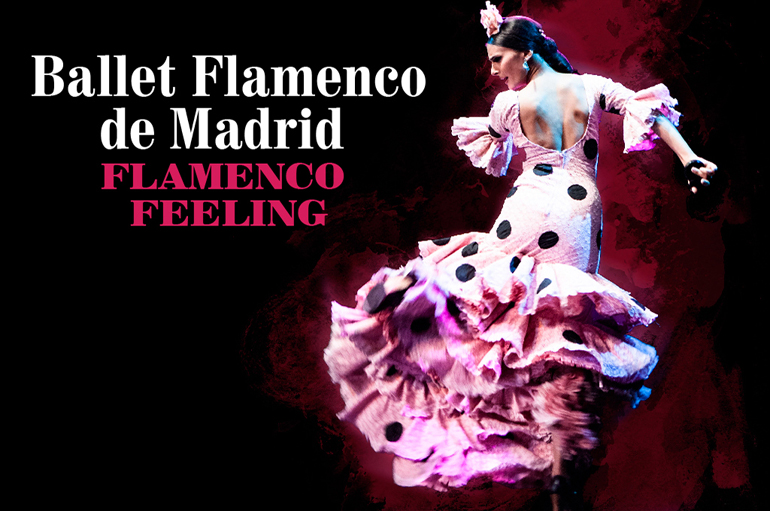 Flamenco Feeling