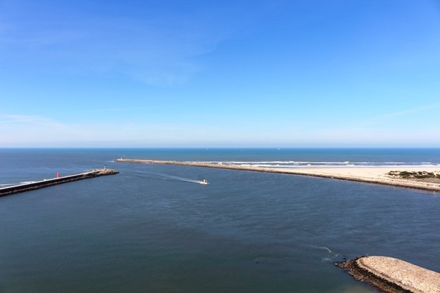 Dia Mundial dos Oceanos no Museu Marítimo