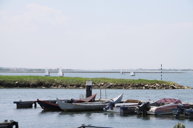 Regata São Martinho