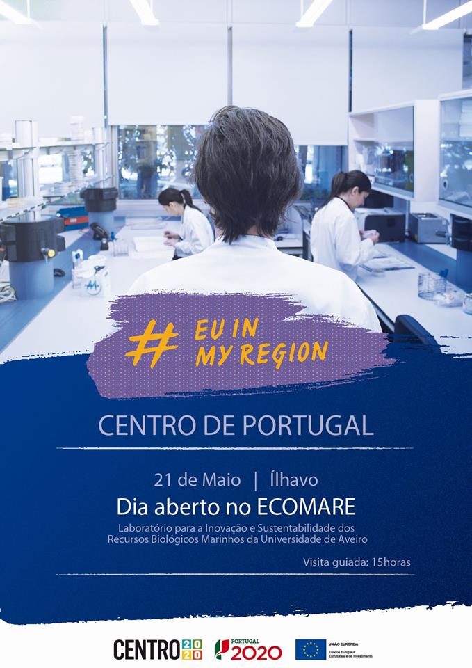 A Europa na Minha Região