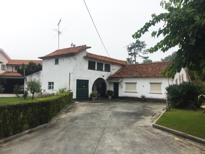 Arquitetura da Paisagem | Olhar por Dentro