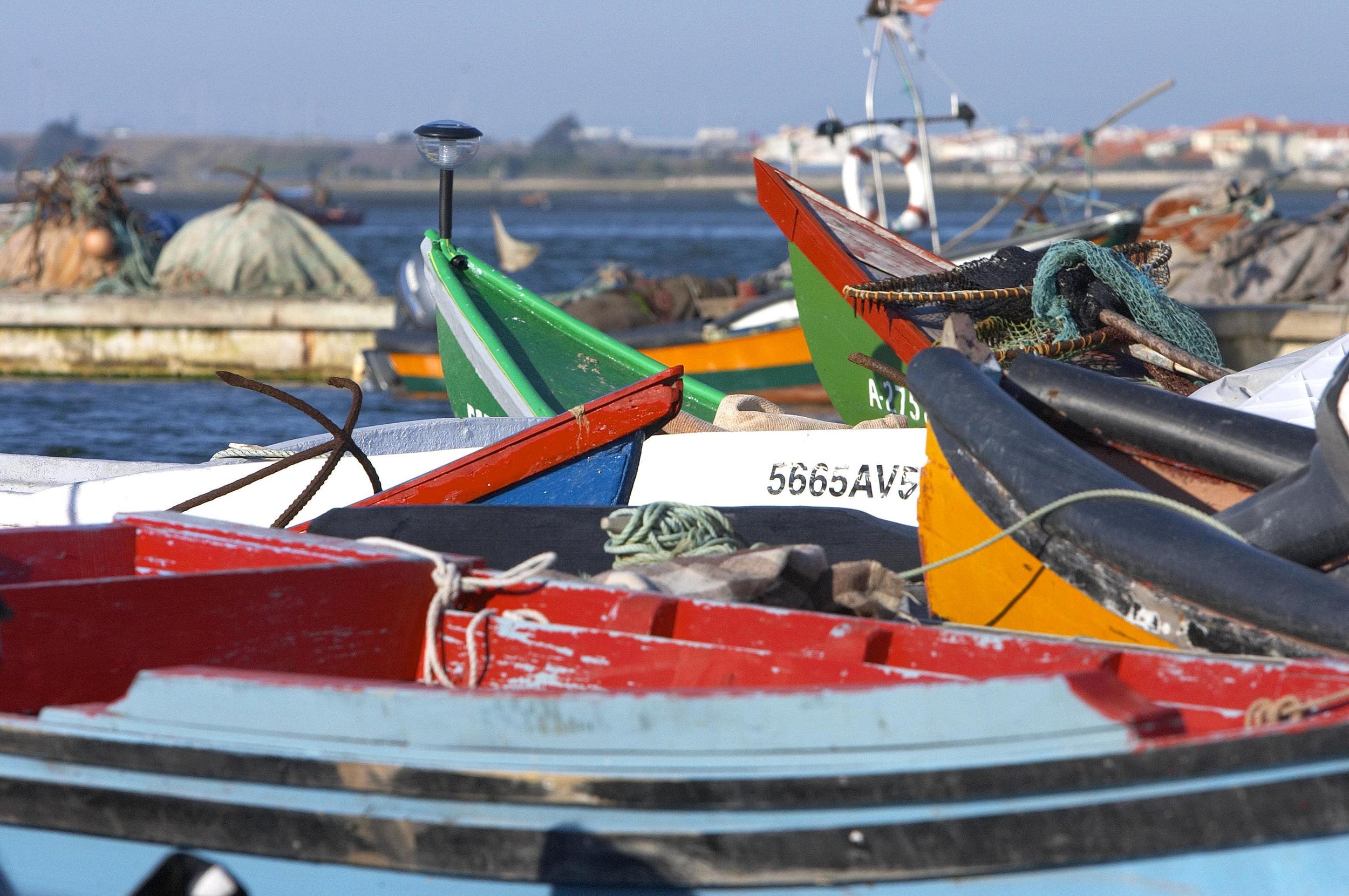 Quem não rema já remou - as praias, as pescas e os peixes