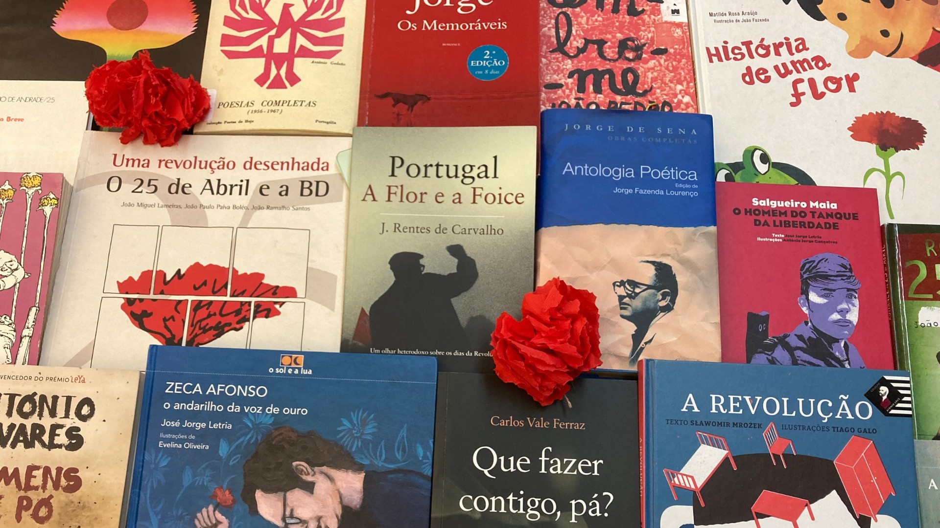 Comunidade de Leitores - "Poesia de intervenção"