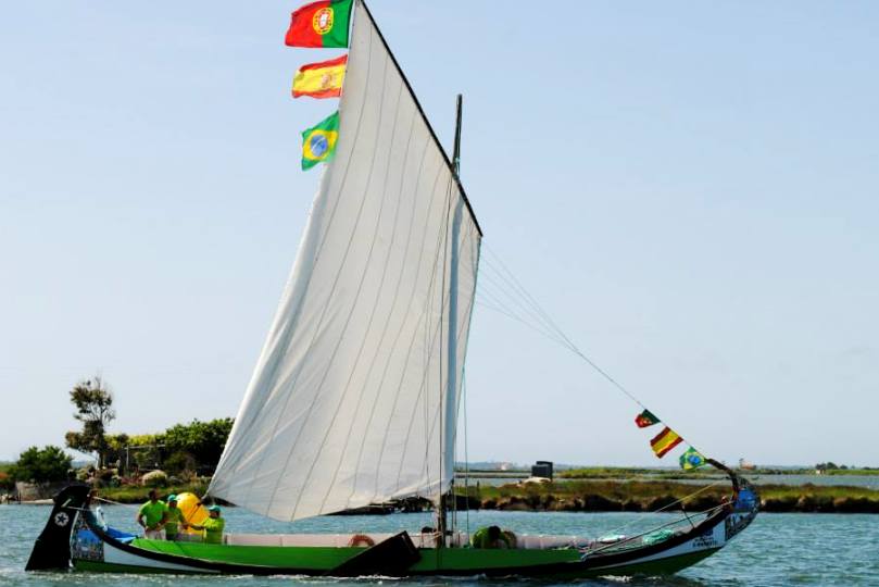 Passeio de moliceiro Aveiro - Costa Nova