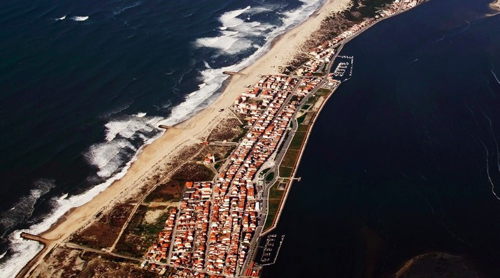 Protocolo de Colaboração entre a Câmara Municipal de Ílhavo e demais Entidades para a Vigilância ...