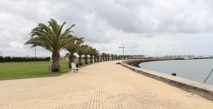 Festival do Bacalhau 2014 – Atividades desportivas