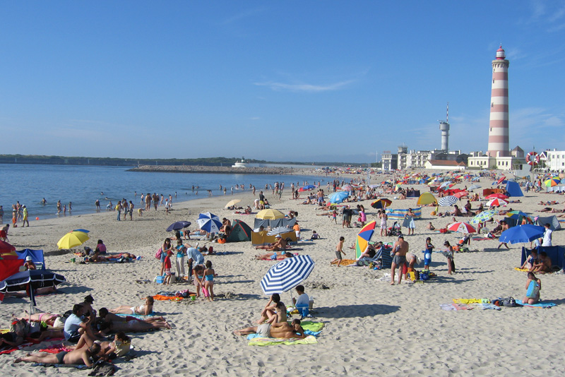 Obra de Alimentação Artificial da Praia da Barra