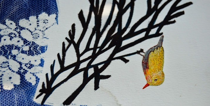 “Livro Objeto” – Exposição de Helena Zália