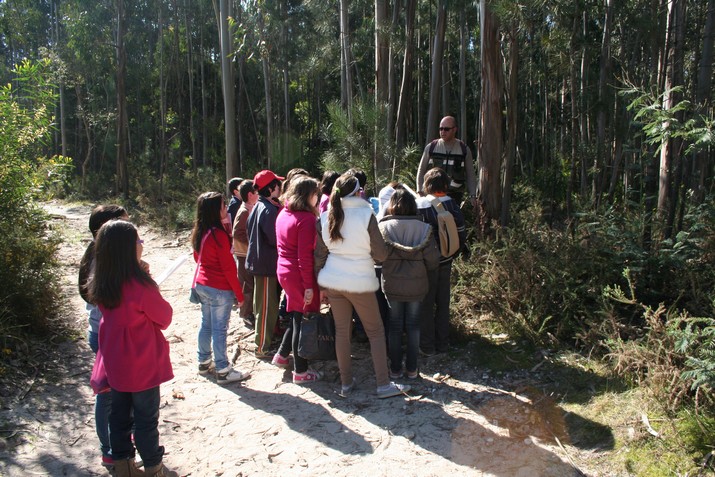 Projeto “Woodwatch – de Olho na Floresta”